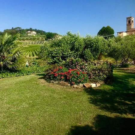 Il Pasco Lucca