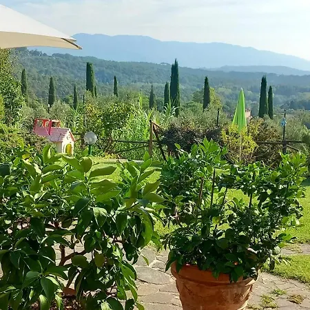 Il Pasco