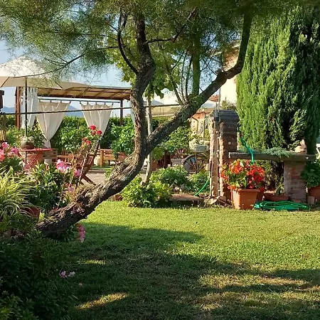 Il Pasco *