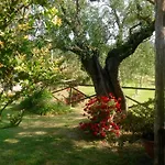 Il Pasco