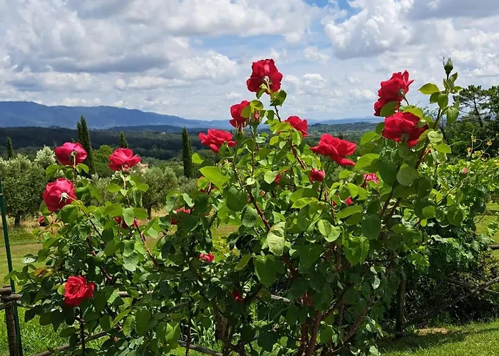 펜션 Il Pasco 루카