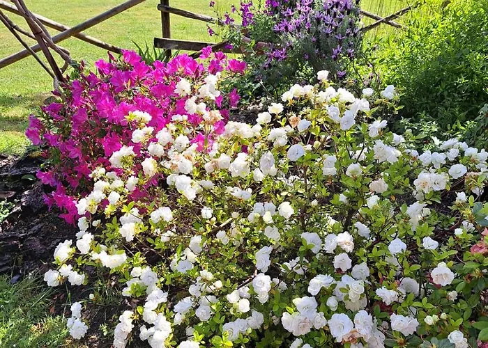 Il Pasco 펜션 루카